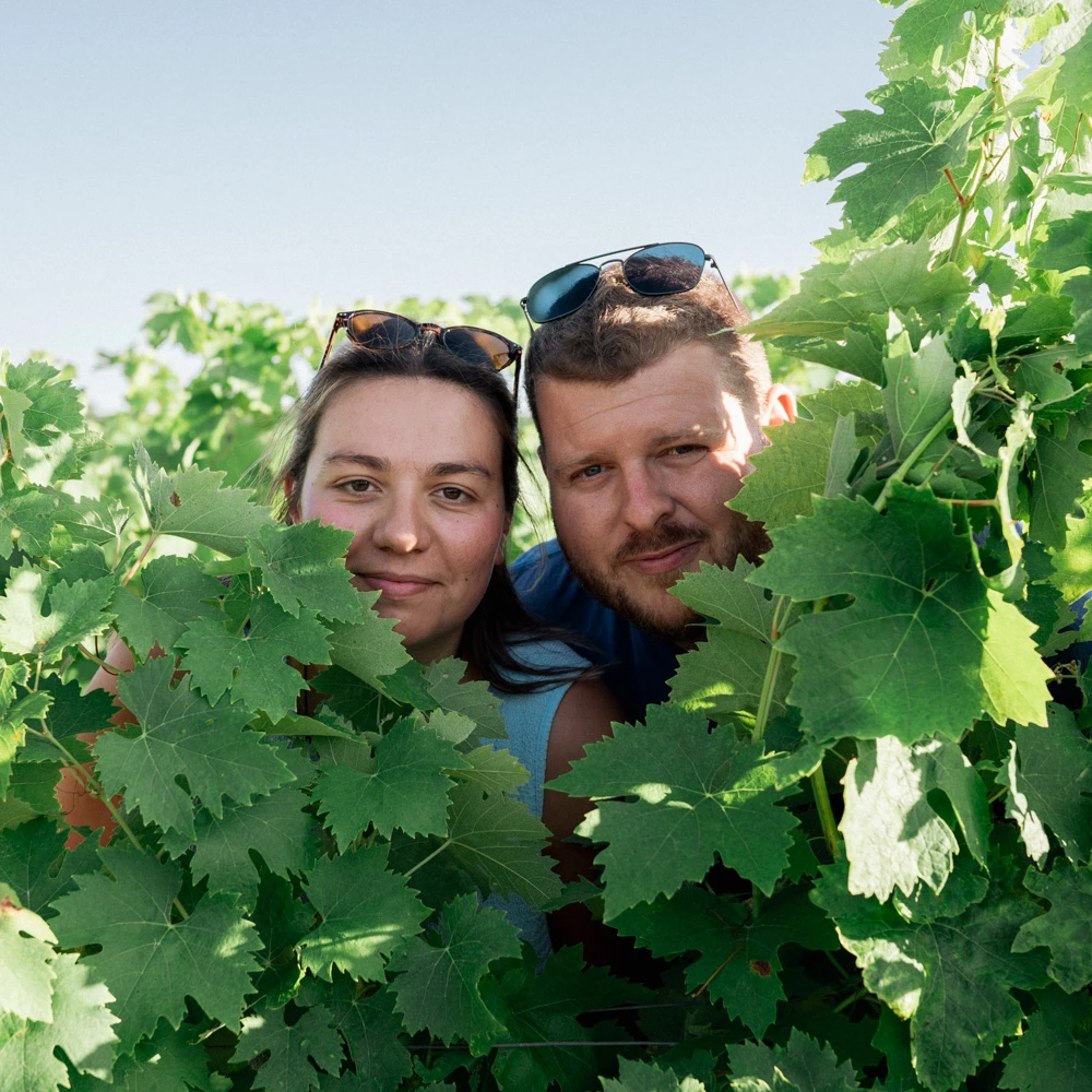 Couple penchant la tête au milieu des feuilles de vigne, regard vers l'objectif