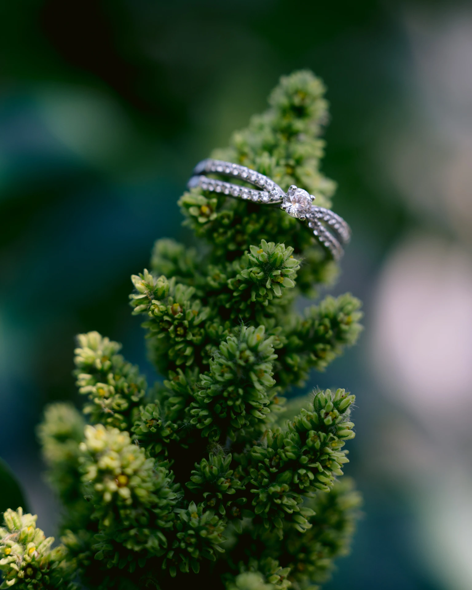 Photographe de mariage Gironde Bordeaux Saint-Émilion — destination wedding