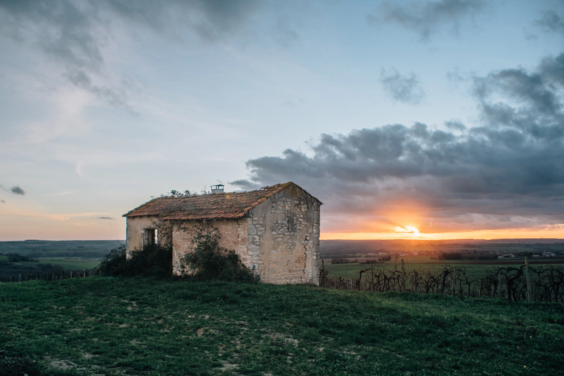 Ancienne bâtisse en pierre au coucher du soleil, vignes en premier plan, campagne charentaise entre Aigre et La Chapelle